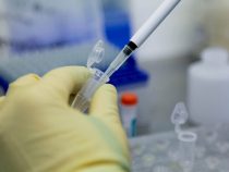 Россияда коронавируска каршы вакцина кийинки жумада чыгып, акысыз берилет