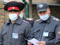 Нарын облусунун Ички иштер башкармалыгынын 14 кызматкери коронавирус жуктуруп алды