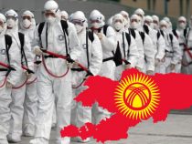Кыргызстанда дагы 512 адам коронавирустан айыкты