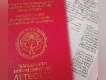 Кыргызстанда 234 бүтүрүүчү артыкчылык аттестатына ээ болду