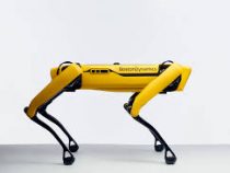 Нидерландыда жергиликтүү компания пляжда таштанды чогулта турган робот ойлоп тапты
