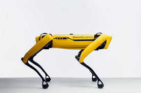 Шанхай инженерлери көзү азиз адамдарга жардам берген акылдуу робот-иттерди ойлоп тапты