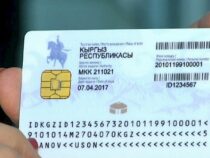 Өкмөт айрым категориядагы жарандарга акысыз ID-карта берүү ниетинде