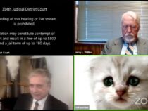 Америкалык адвокат онлайн отурум учурундагы видеосу үчүн интернет жылдызына айланды