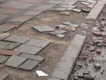 Бишкекте Жеңиш аянтындагы унаа токтотуучу жайдын ордунда дагы бир жашыл аймак пайда болду