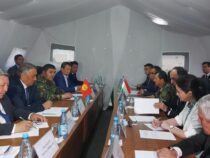 Кыргызстандын жана Тажикстандын өкмөттүк делегациялары бирдиктүү протоколго кол коюшту