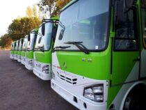 Өзбекстандык автобустардын биринчи партиясы Кыргызстанга келди