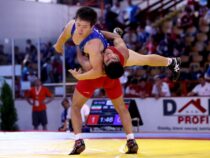 Бишкекте грек-рим күрөшү боюнча Кыргызстандын чемпионаты өтүүдө