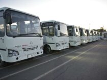 Өзбекстандан келген 210 автобустун 110у гана линияларга чыгат