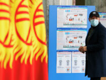 Кыргызстанда парламенттик шайлоо тынч өттү