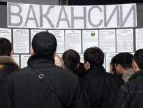 Бишкекте жумушсуз жарандар акысыз айдоочулук курстарга кабыл алынат