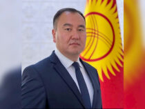 Тимур Мадяров президенттин Баткен облусундагы өкүлүнүн орун басары болуп дайындалды