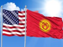 Кыргызстандын медицина тармагына АКШ төрт миллион доллар берет