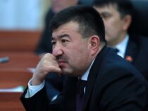 “Ата-Журт Кыргызстан” фракциясына жаңы лидер дайындалды