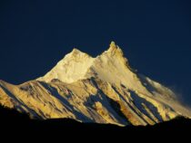 Кыргызстандык альпинисттер Манаслу чокусун багындырышты