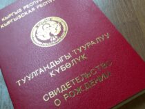 Кыргызстанда туулгандыгы тууралуу күбөлүктү онлайн режимде каттоо киргизилди