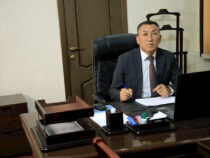 «Кыргызкөмүрдүн» директору энергетика министринин орун басары болду
