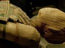 Британ музейинде мумия деген сөзгө тыюу салуу сунушталууда