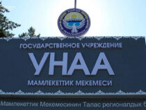 «Унаа» мамлекеттик мекемеси Бишкекте мындан ары дем алышсыз иштейт