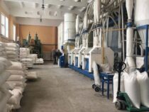 Кара-Балтадагы “Дан” мамлекеттик ишканасынын аймагында тегирмен жана макарон чыгаруучу завод ишке берилет