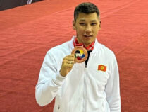 Адилет Шадыканов Азия оюндарында карате боюнча күмүш медаль алды