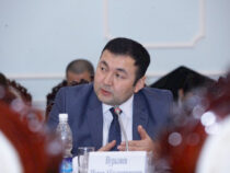 Марат Нуралиев Кыргызстандын Катардагы элчиси болуп дайындалды