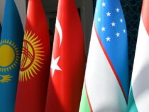 Түрк мамлекеттер уюмунун президенттеринин саммити быйыл Кыргызстанда өтөт