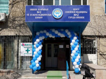 Бишкекте кезектеги мамлекеттик дарыкана ачылды