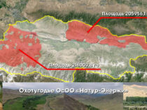 Көлбаевге тиешелүү Таластагы аңчылык жерлер мамлекетке кайтарылды