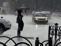 Начало июня в Бишкеке будет дождливым