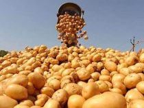 Казахстан отменил ограничения на ввоз кыргызстанской сельхозпродукции