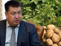 Министр сельского хозяйства Нурбек Мурашев подал в отставку