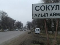 Девушка и юноша  найдены повешенными на дереве на окраине села в Сокулукском районе