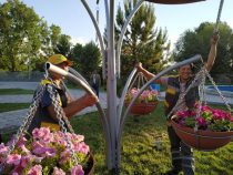 В Бишкеке  теперь есть «цветочные деревья»