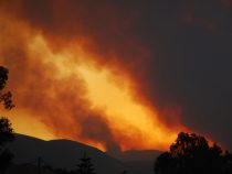На северо-востоке Испании бушуют лесные пожары
