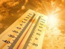 Пик жары в июне в Бишкеке ожидается в последних числах месяца