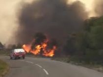 Из-за аномальной жары во Франции вспыхнули природные пожары