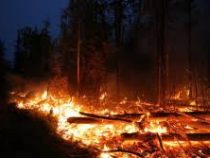 Пожары в Испании уничтожили 4 тыс. гектаров растительности