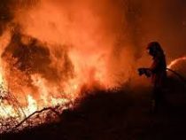 В Португалии от лесных пожаров пострадали 30 человек
