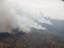 В Красноярском крае площадь лесных пожаров превысила миллион га