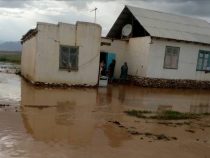 В Нарыне сели затопили дома