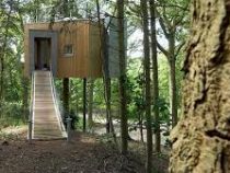 В Дании появился первый в мире отель на дереве