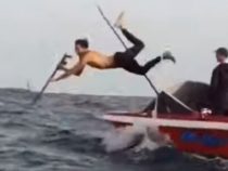 Неудачливый рыбак показал свои таланты ныряльщика