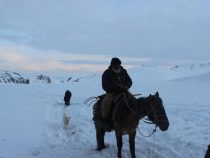 Долину Ак-Сай Нарынской области накрыл снегопад