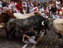 В испанской Памплоне прошел забег с быками