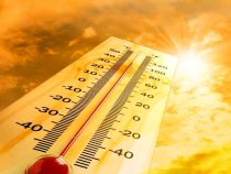 В ближайшие четыре дня в Бишкеке  прогнозируется аномальная жара