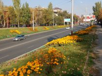 Фактов мародерства  в Бишкеке не зафиксировано
