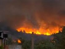 Пожары на греческом острове Эвбея вышли из-под контроля