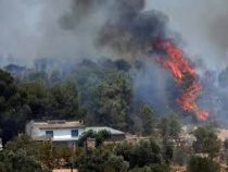 Из-за лесных пожаров на испанском острове Гран-Канария идет массовая эвакуация