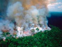 В Бразилии огонь уничтожил уже два миллиона гектаров леса